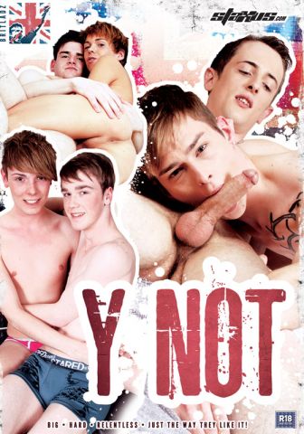 Y Not DVD - Front