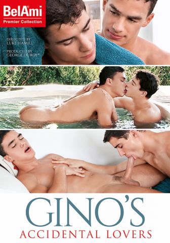 Gino's Accidental Lovers DVD (S)