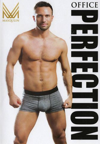 Office Perfection DVD (S)