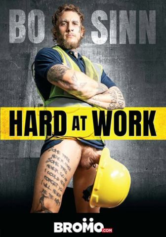 Bo Sinn Hard at Work DVD (S)